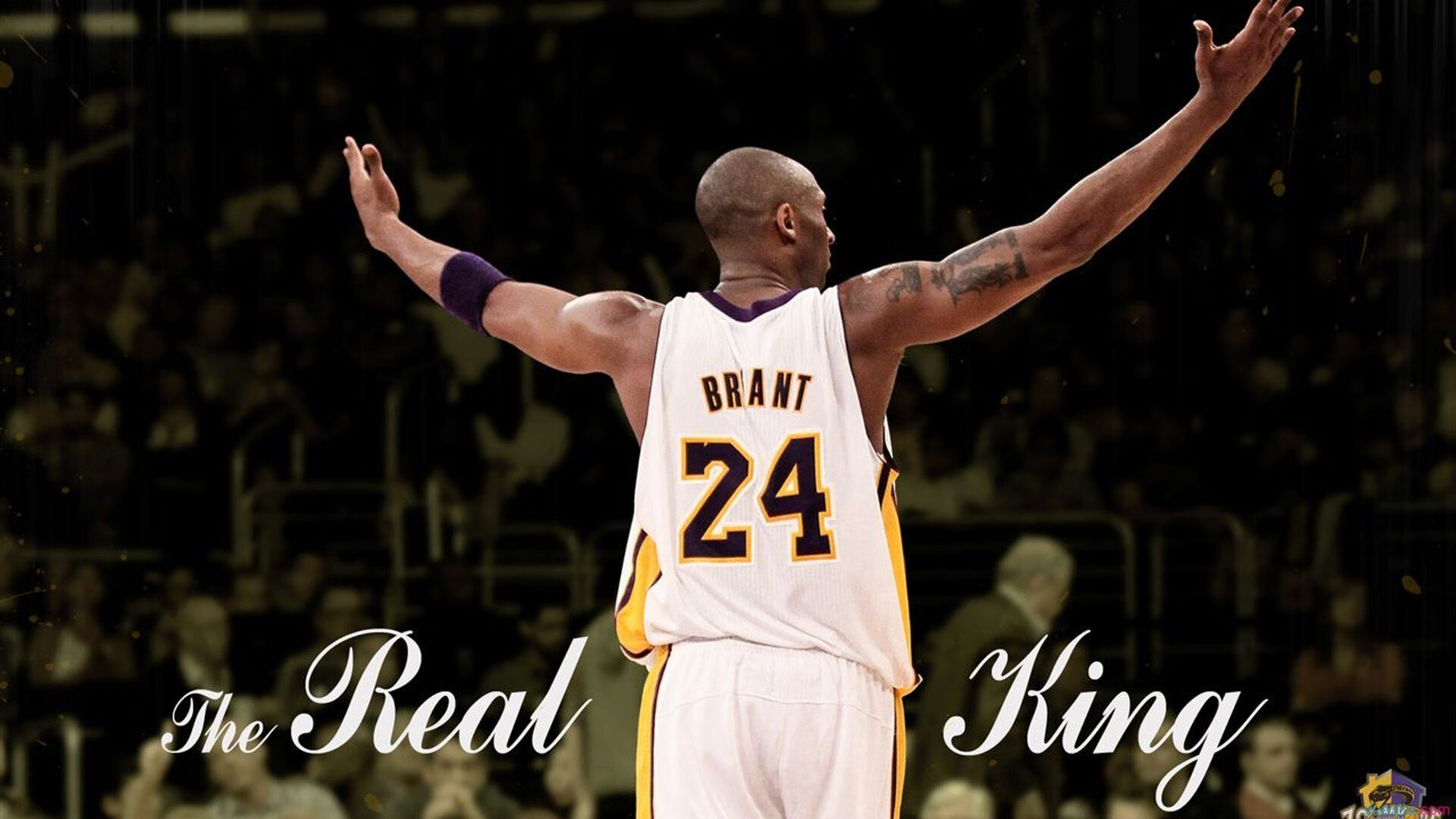 篮球专项技能教学方法改革及实战应用研究，篮球专项技术训练要点