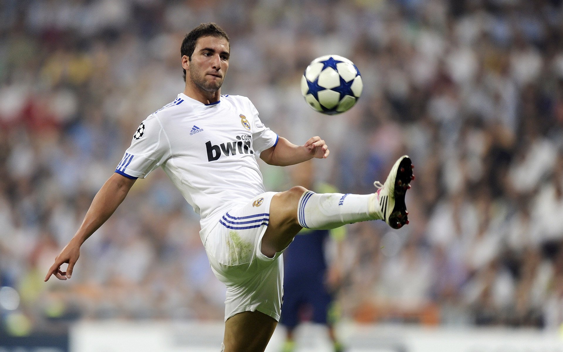 足球与平等：推动多元文化共存战略，足球带来的和平