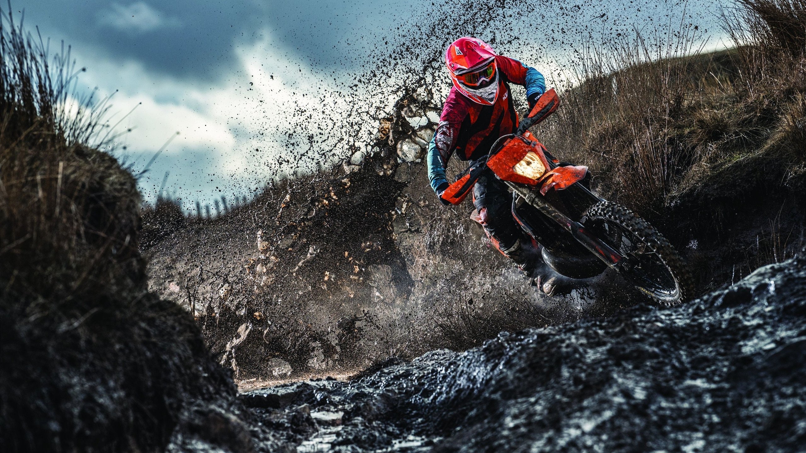 蔚山现代锋线状态火热，蔚山现代转会