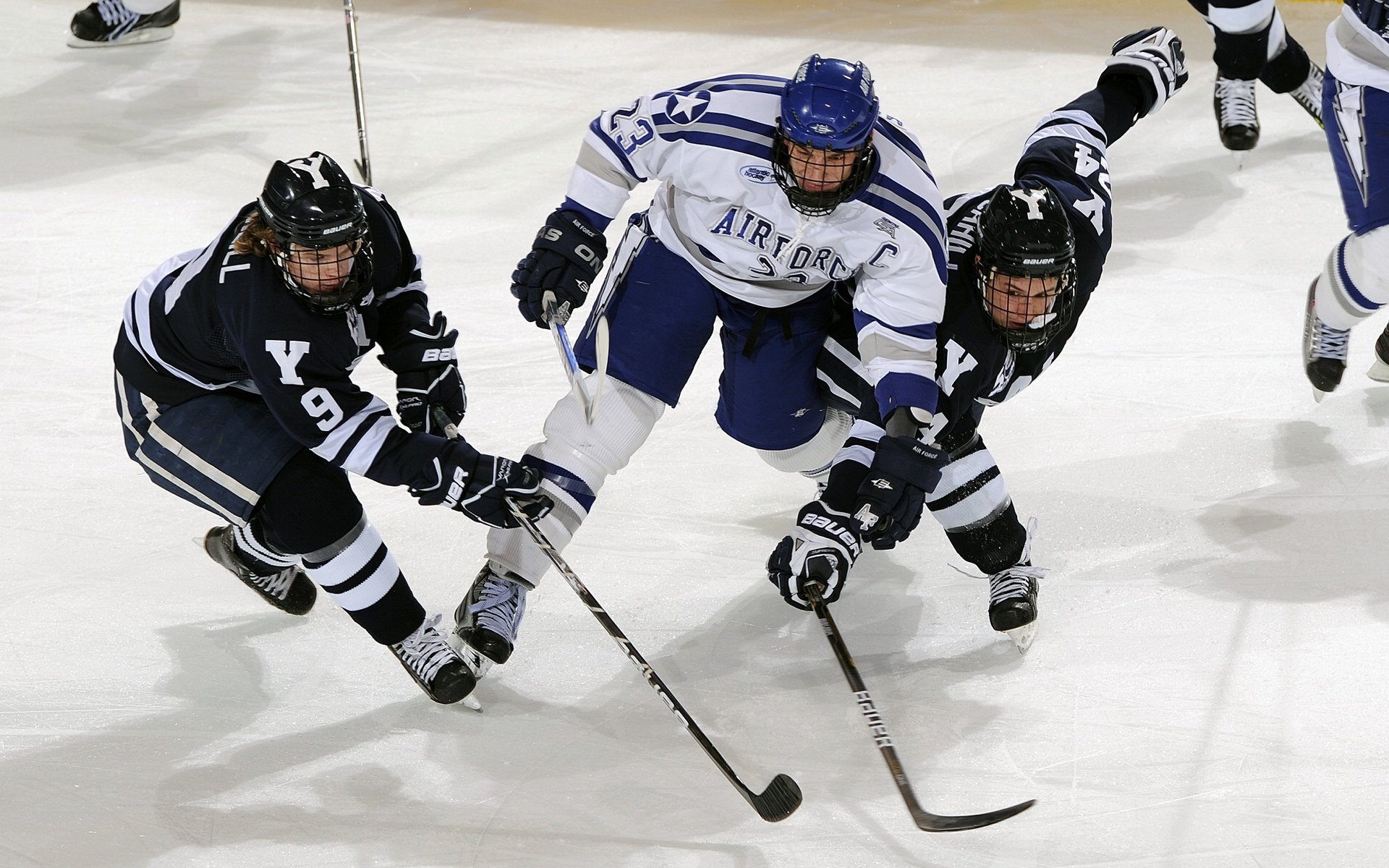 南非羚羊队的进攻体系：宽阔场地上快速打击，直指对方心脏，南非羚羊皮可以干嘛用